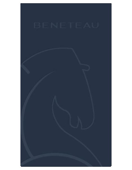 Bouteille isotherme